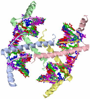 Image Asym./Biol. Unit