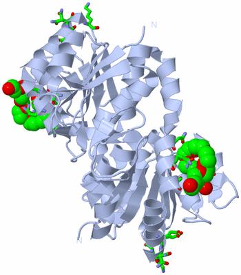 Image Biol. Unit 1 - sites