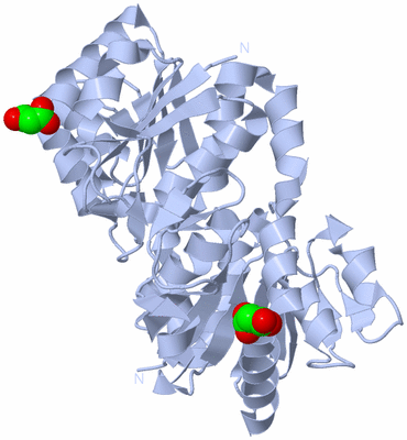 Image Biological Unit 1