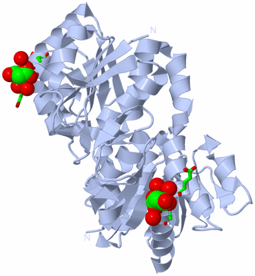 Image Biol. Unit 1 - sites