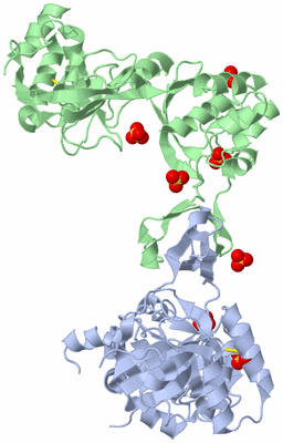 Image Biological Unit 1