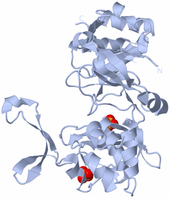 Image Biological Unit 2