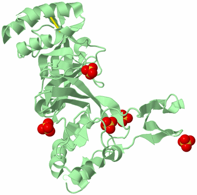 Image Biological Unit 3