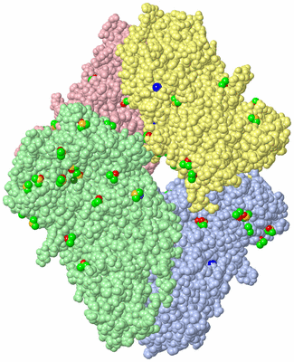 Image Biological Unit 2