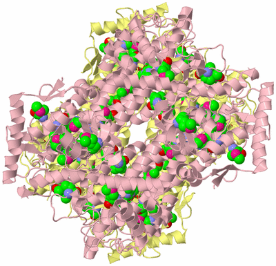 Image Biological Unit 2