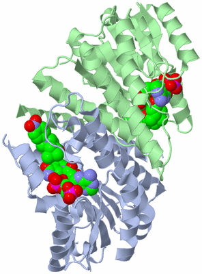 Image Asym./Biol. Unit