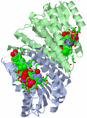 Image Asym./Biol. Unit - sites