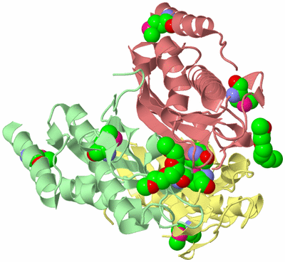 Image Biological Unit 4