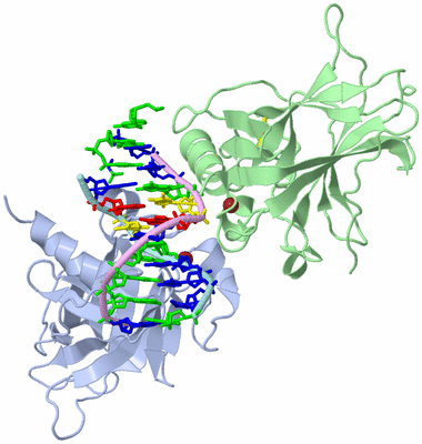 Image Biological Unit 1