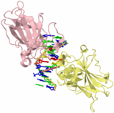 Image Biological Unit 2