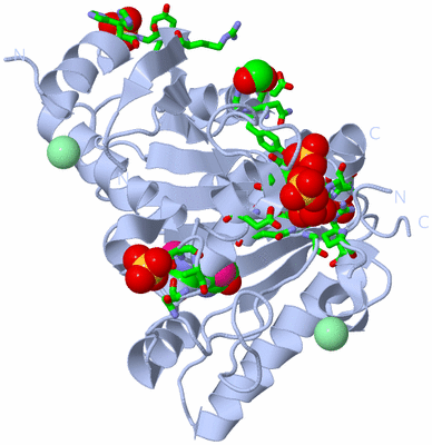 Image Biol. Unit 1 - sites