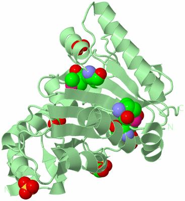 Image Biological Unit 2