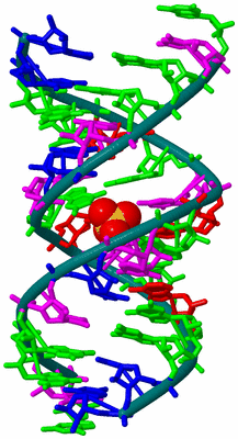 Image Biological Unit 1