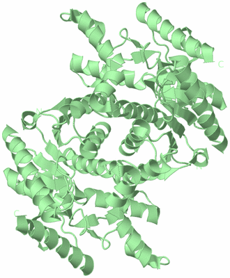 Image Biological Unit 3