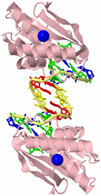 Image Biological Unit 2