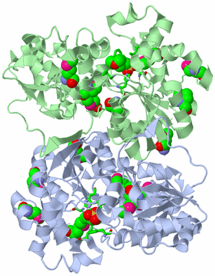 Image Asym./Biol. Unit - sites