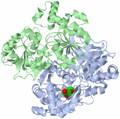 Image Asym./Biol. Unit