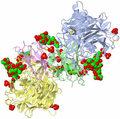 Image Biological Unit 1