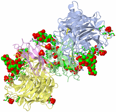 Image Biol. Unit 1 - sites