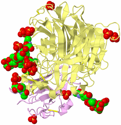 Image Biological Unit 2