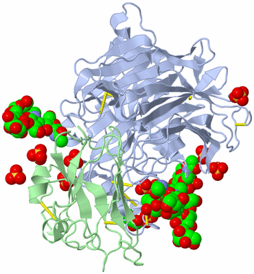 Image Biological Unit 3