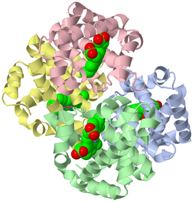 Image Biological Unit 1