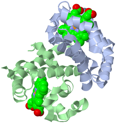 Image Biological Unit 2