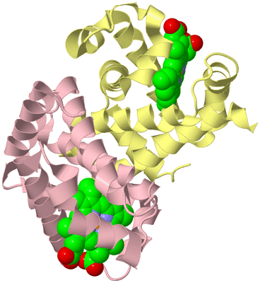 Image Biological Unit 3