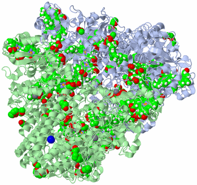 Image Biological Unit 1