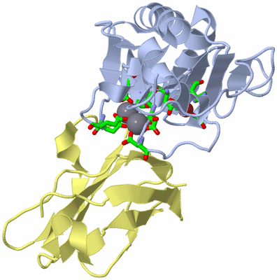 Image Biol. Unit 1 - sites