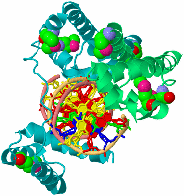 Image Biological Unit 2