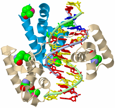 Image Biological Unit 3