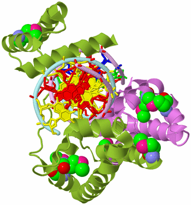 Image Biological Unit 4