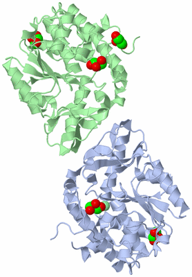 Image Asym./Biol. Unit