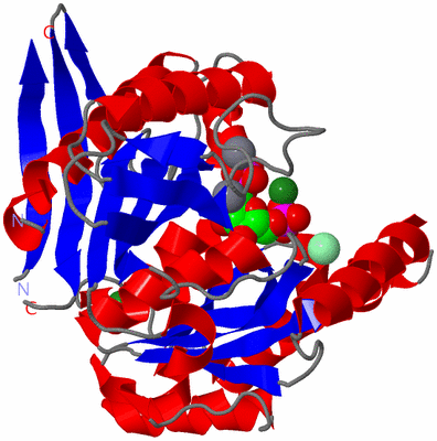 Image Asym./Biol. Unit