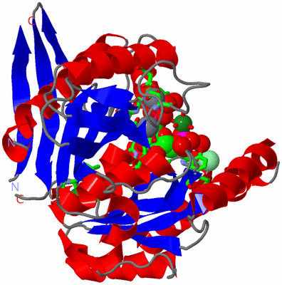 Image Asym./Biol. Unit - sites