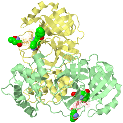 Image Biological Unit 2