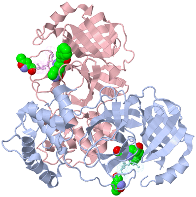 Image Biological Unit 3