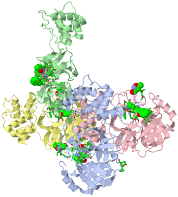 Image Asym. Unit - sites