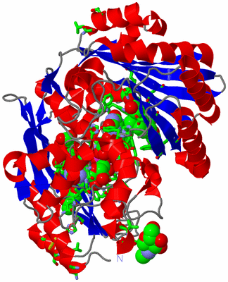 Image Asym./Biol. Unit - sites