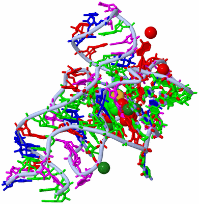 Image Biol. Unit 1 - sites