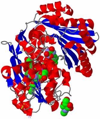 Image Asym./Biol. Unit