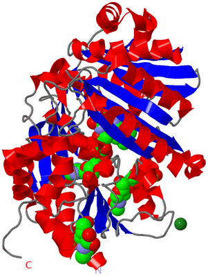 Image Asym./Biol. Unit