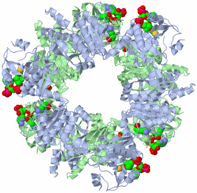 Image Biological Unit 1