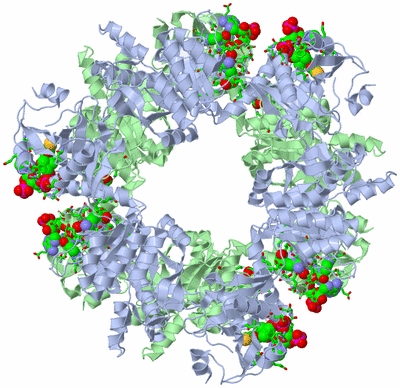 Image Biol. Unit 1 - sites