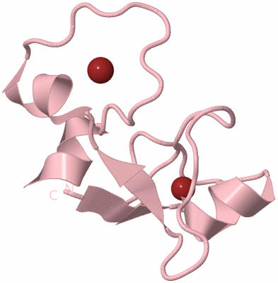 Image Biological Unit 3