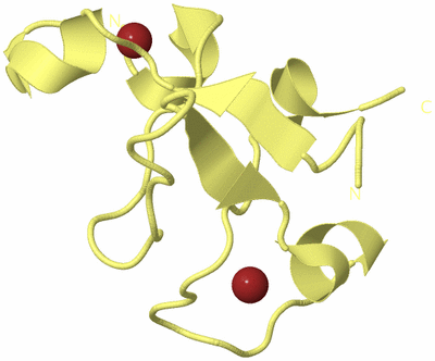 Image Biological Unit 4