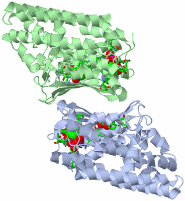 Image Asym./Biol. Unit - sites