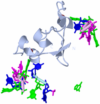 Image Biological Unit 1