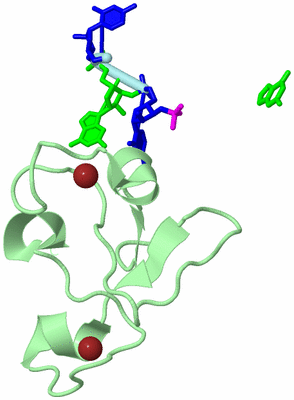 Image Biological Unit 2